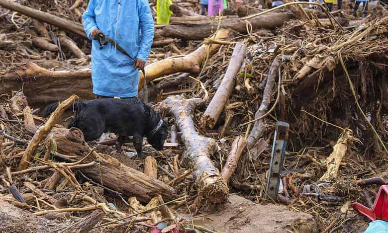 From Wayanad to Delhi: Need for stronger climate action