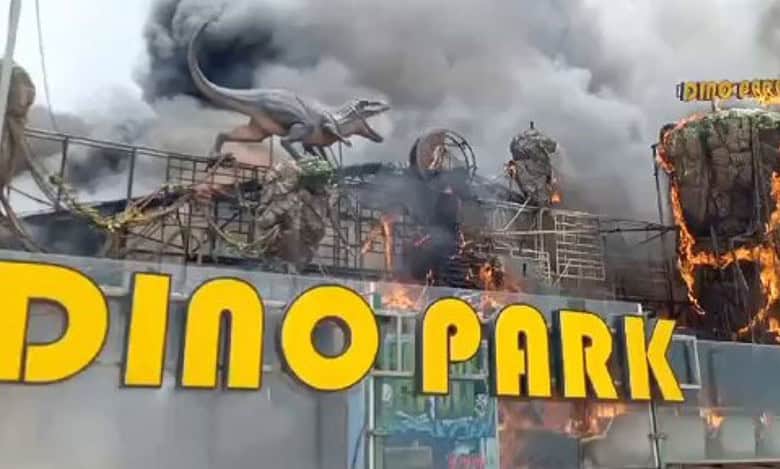 Video: Amusement park in Andhra Pradesh gutted in massive fire