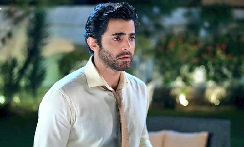 Pakistani drama Radd last episode date is here, fans angry