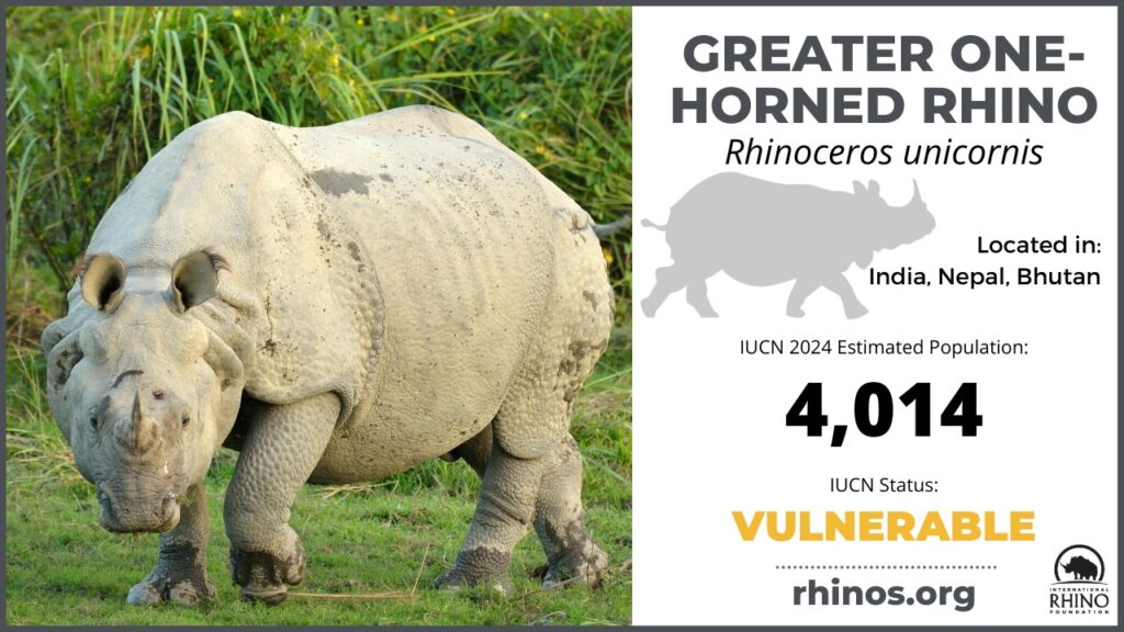 The Indian One-horned Rhino is still in the vulnerable list with only 4014 thriving in the wild