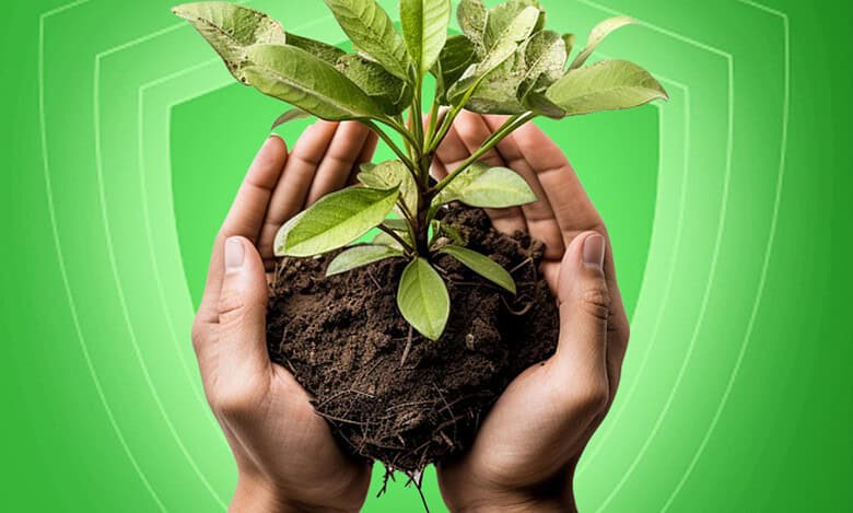 Policy expert slams the PPVFRA for co-hosting awareness programme on enforcement of intellectual property rights in Hyderabad with seed industry.