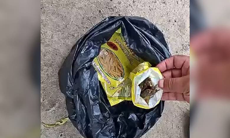 Hyderabad: Woman caught selling Ganja disguised as Haldi powder