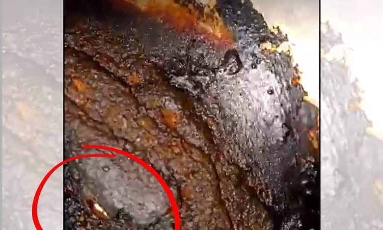 Food safety raids uncover cockroach infestation at restaurants in Hyderabad