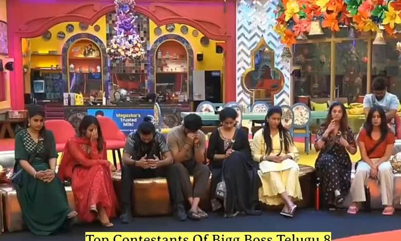 Bigg Boss Telugu 8: Top 3 finalist-worthy contestants so far