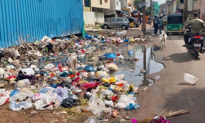 Garbage pile, water stagnation pose health hazards in Hussainialam