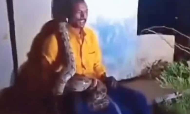 Python drapes around drunk man’s neck in Andhra Pradesh, video surfaces