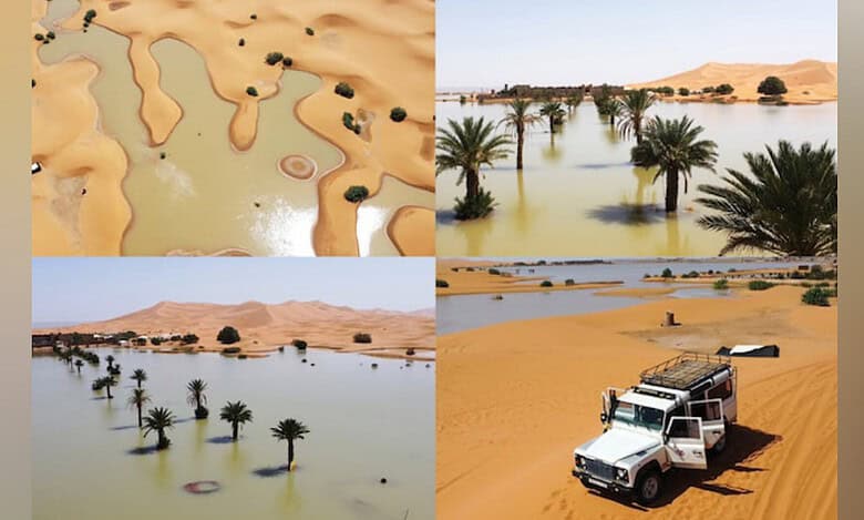 Watch: Sahara Desert flooded for 1st time in 50 years after rare rainfall