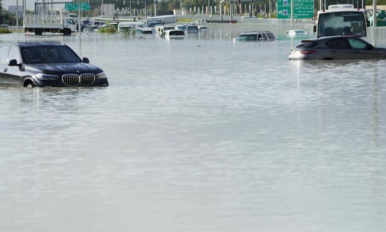 UAE to build dams, canals to mitigate impact of heavy rainfall