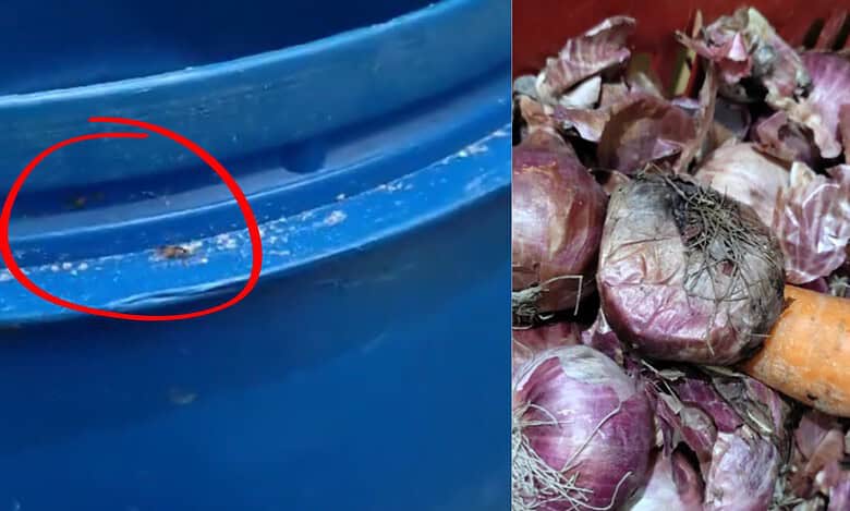 Food safety dept raids eateries in Hyderabad mall