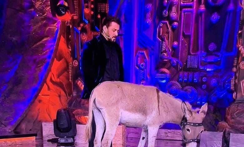 19th contestant of Bigg Boss 18 is ANIMAL, watch video here