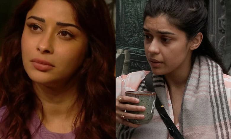 Bigg Boss 18: Third female contestant's eviction on cards today