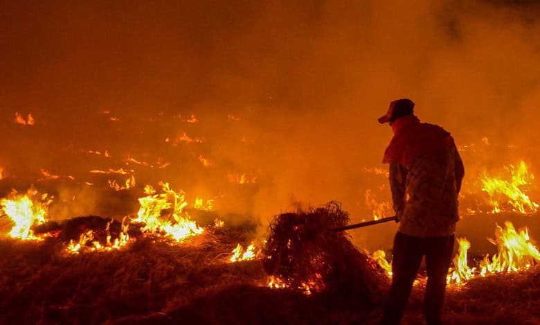 Punjab farmers to block highways in protest over FIRs for stubble burning