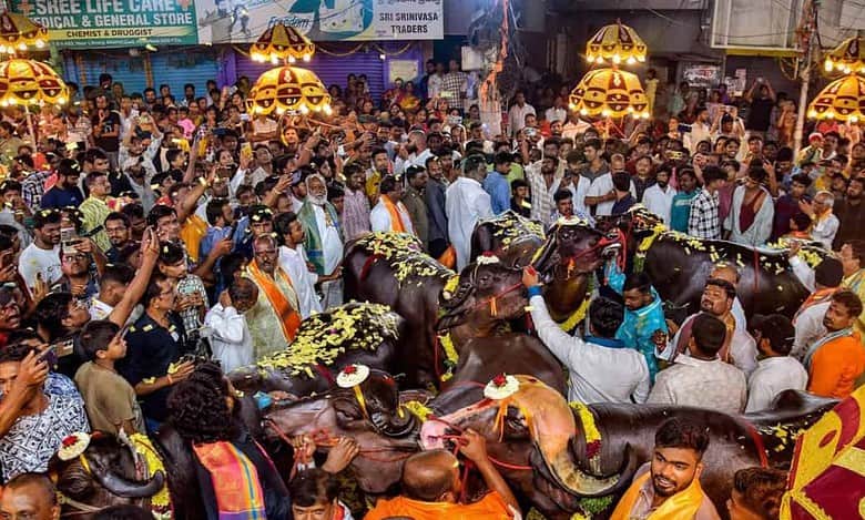 Sadar Festival: A vibrant celebration of tradition, community spirit