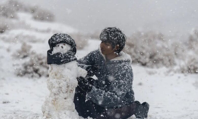 Saudi Arabia most exposed Gulf country to snowfall: Arabia Weather