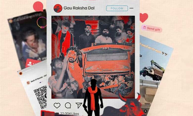Instagram fuels cow vigilantism, violence in India: Report
