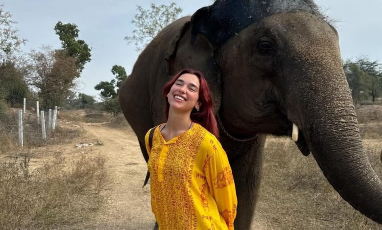 Dua Lipa arrives in Mumbai for her show on November 30