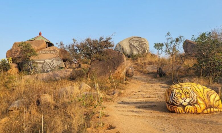 Hyderabad: 2 day nature camp at Forestrek Park in Chilkur