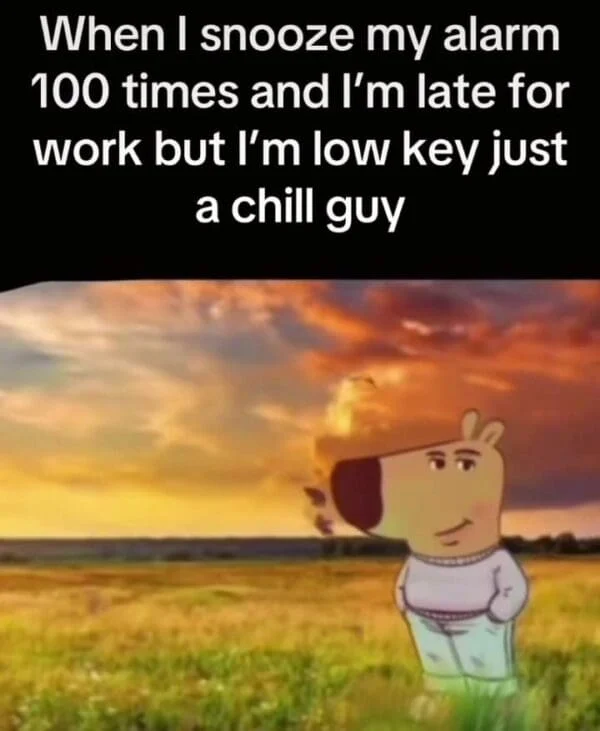 Chill Guy Meme