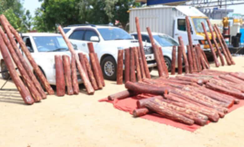 Red sanders smuggling