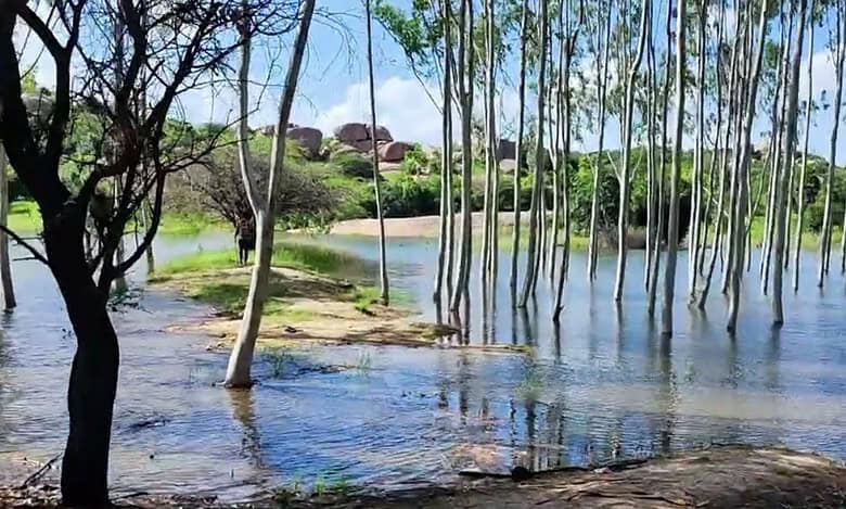 Under The Moon Lake, a hidden gem just 40 kms from Hyderabad