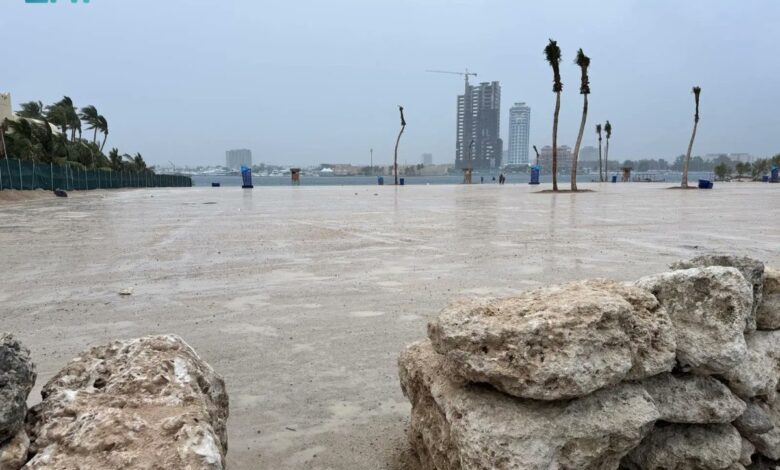 Saudi Arabia Sandy beach