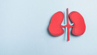 Telangana govt hands over Hyderabad kidney racket case to CID