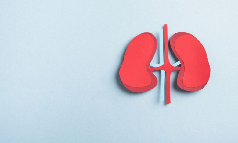 Telangana govt hands over Hyderabad kidney racket case to CID