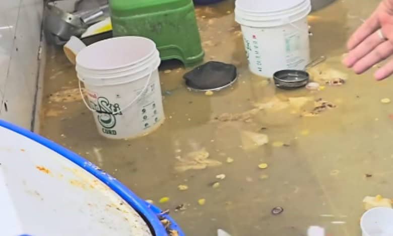 Restaurant in Hyderabad face criticism for serving leftover onions