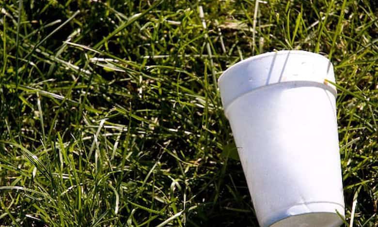Dubai: Ban on single-use plastic products comes into force