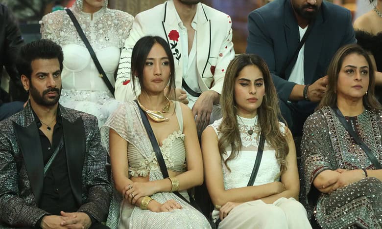 Bigg Boss 18: 3 Celebs in danger, who will be out from finale?
