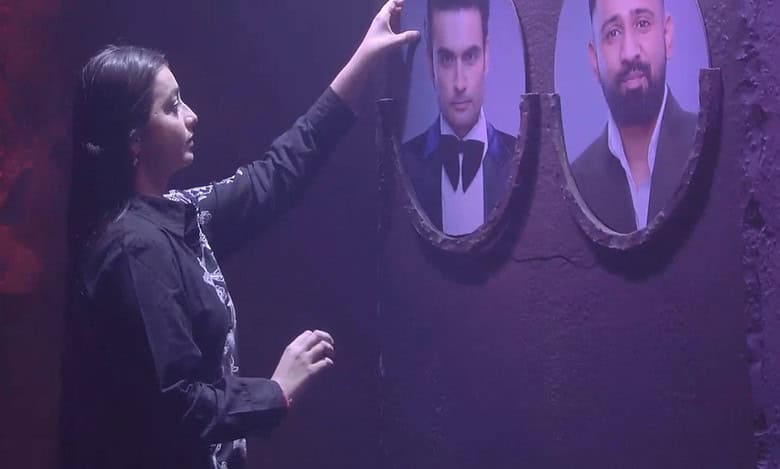 Bigg Boss 18 voting: Who is at what position? Vivian tops