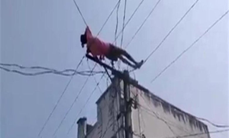 Video: Drunk man climbs electric pole, lies down on wires in Andhra Pradesh