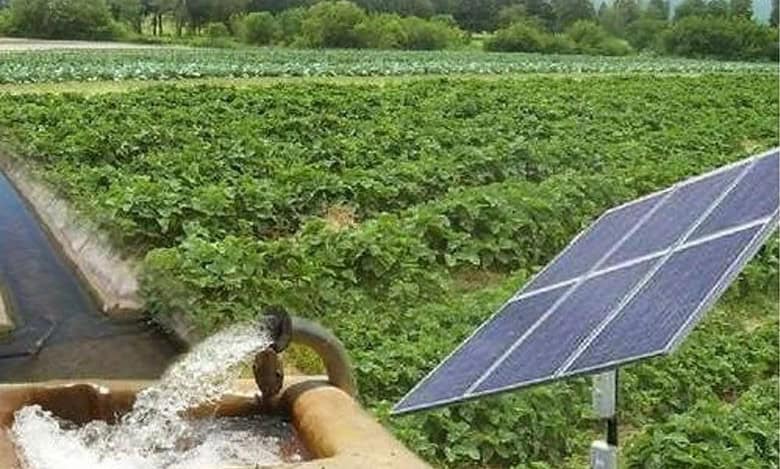Telangana government plans to give 50,000 solar pump sets to tribals cultivating podu lands under the first phase.