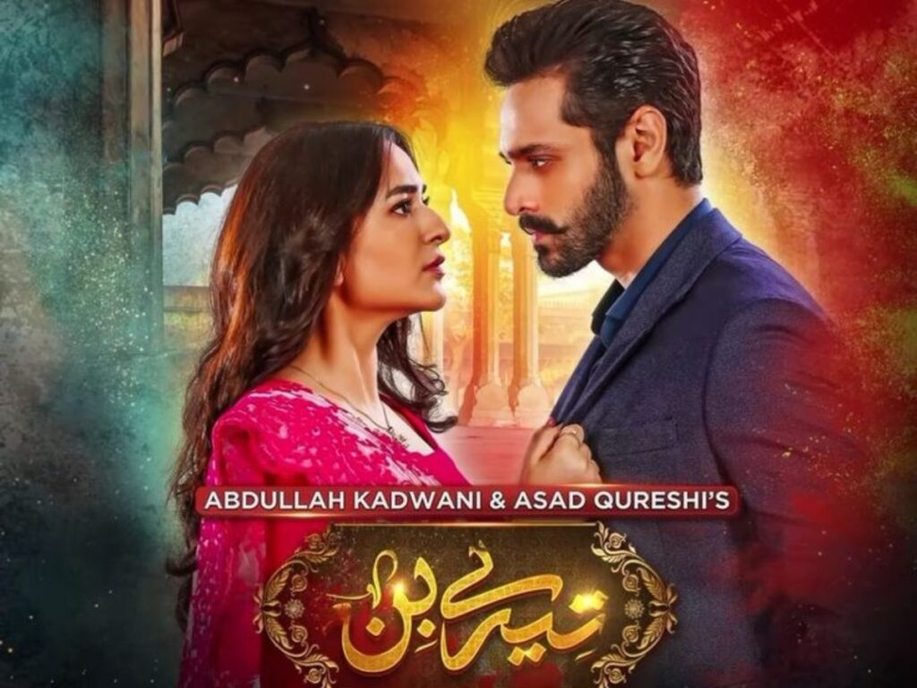 Pakistani dramas slate 2025: Tere Bin 2 removed, fans left angry