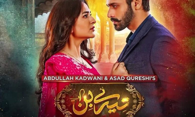 Pakistani dramas slate 2025: Tere Bin 2 removed, fans left angry