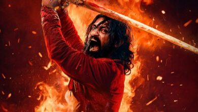 This Tollywood star turned down the blockbuster film Chhaava