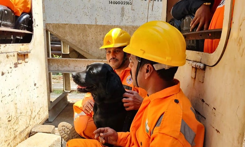 Sniffer dogs deployed to find trapped workers in SLBC tunnel