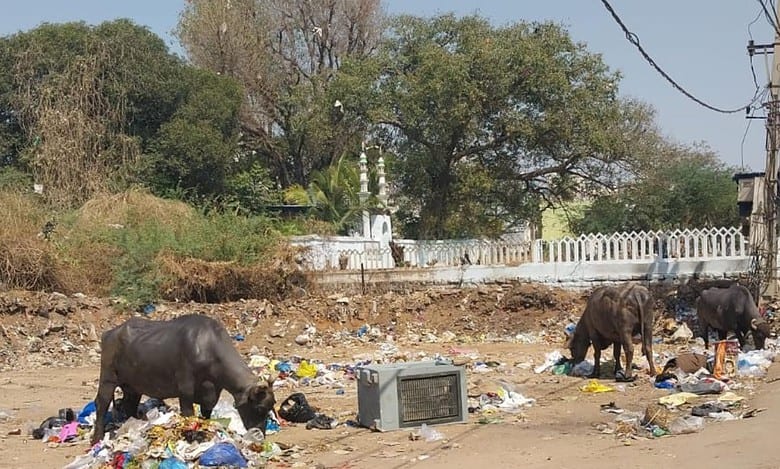 Masjid e Phool Bagh
