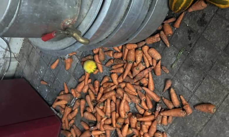Raids at restaurants in Hyderabad uncover cockroach infestation