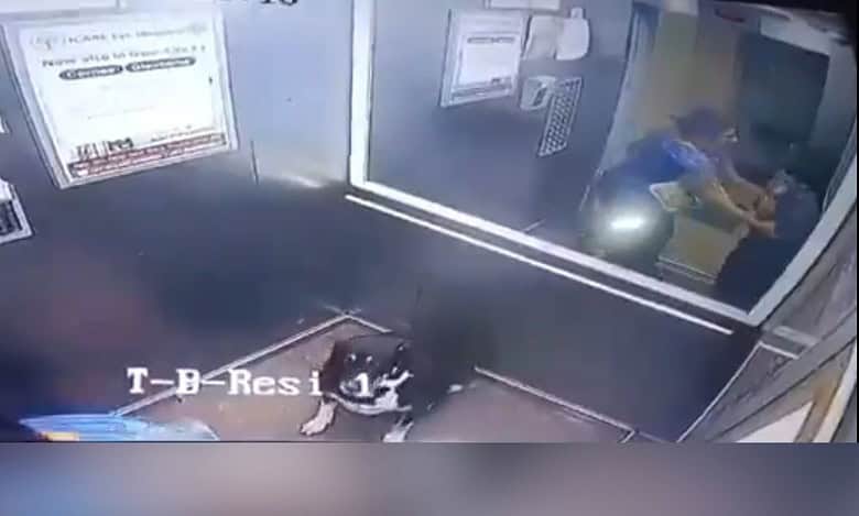 Video: Woman assaults minor over pet dog entry into lift, detained