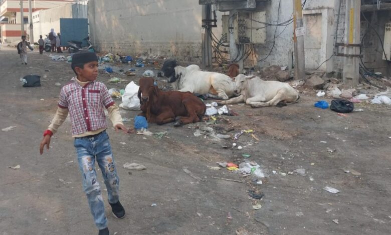 Garbage near school raises health concerns in Hyderabad