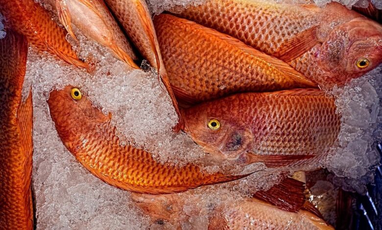 No relief as mutton, fish rates jump in Hyderabad due to chicken demand dip