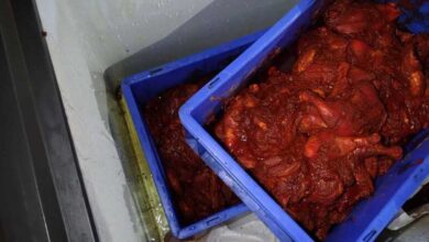 Task force raids mandi restaurant in Hyderabad after receiving complaint