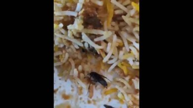 Video: Cockroach found biryani at restaurant on Necklace road