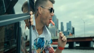 How much did David Warner got paid for his Telugu debut film