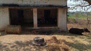 Civil society organisations in Telangana demand 15% of total budget allocation for education in Telangana budget 2025-26.