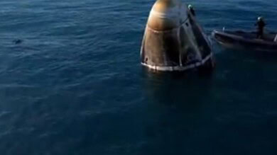 _Dolphins greet astronauts as they return home