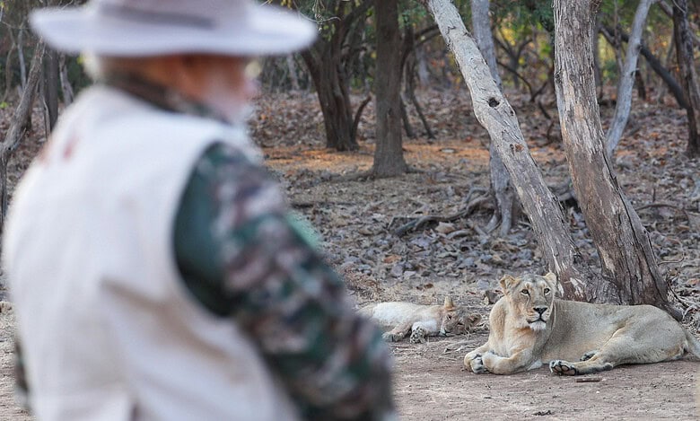 PM Modi at Gir Wildlife Sanctuary