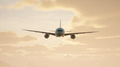 India-UAE airfares could drop by 20 pc if capacity expands: Report