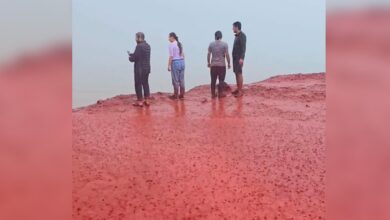 Watch: Heavy rain turns Iranian beach blood red, stuns viewers